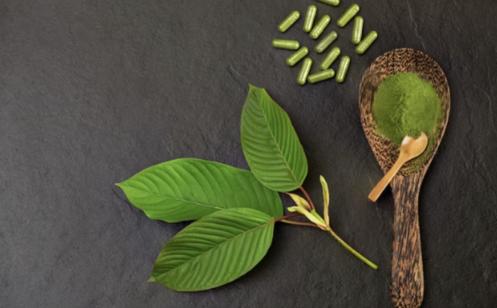 Understanding Kratom: Powder vs. Capsules – Which is Right for You?