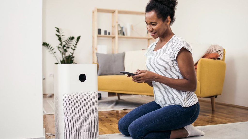 Air Purifiers with Humidifiers: Combining Clean Air and Optimal Humidity